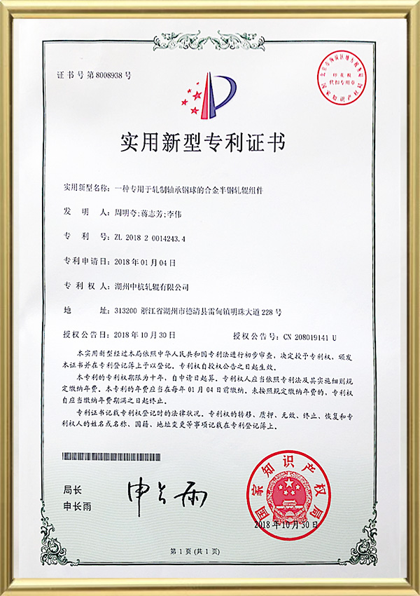 Certificado de Patente de Modelo de Utilidade